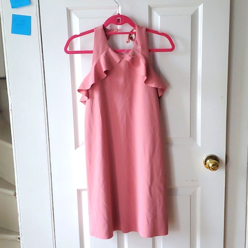 NWT pink dress